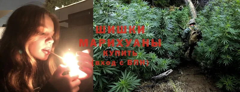 МАРИХУАНА White Widow  гидра маркетплейс  Павловск  где продают наркотики 